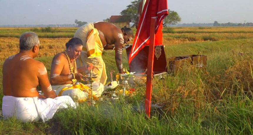 யாழ்ப்பாணம், நல்லூர் கந்தசுவாமி கோவிலின் நெற் புதிர் எடுக்கும் விழா 1 நெற் புதிர் எடுக்கும் விழா