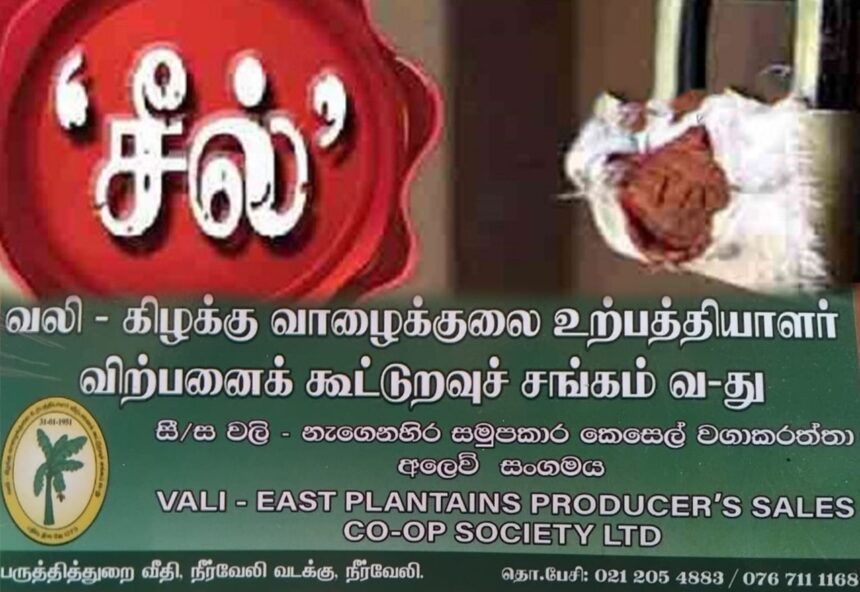 வாழைகுலை தராசு