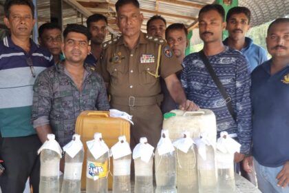 Illegal Liquor