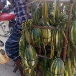 வெள்ளரிப்பழம்