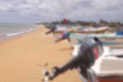 கட்டைக்காடு