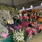 Flower Exhibition