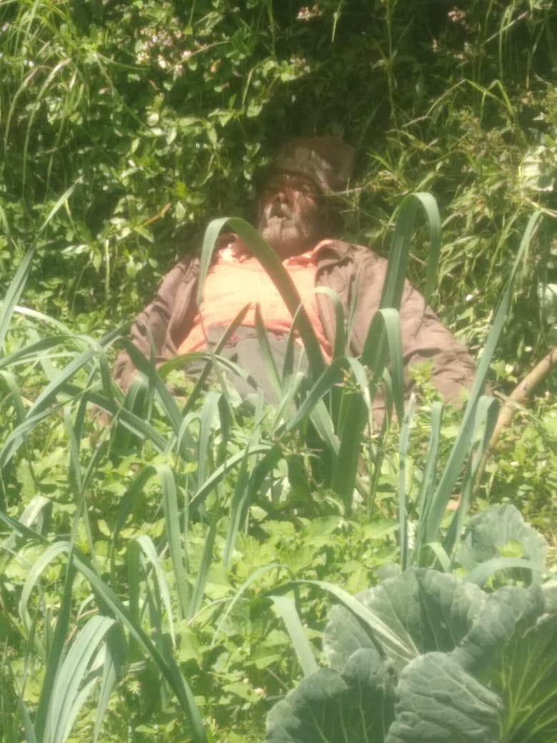 மின்சாரம்