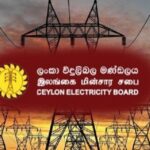 Electricity Amendment