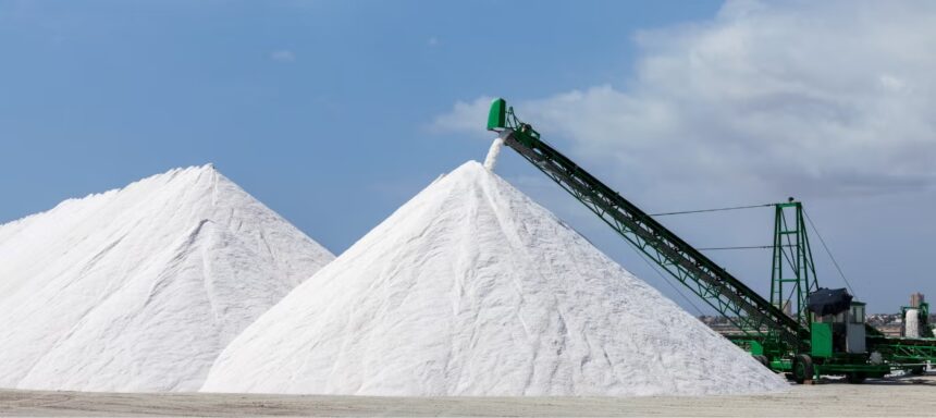 Salt Price Drop