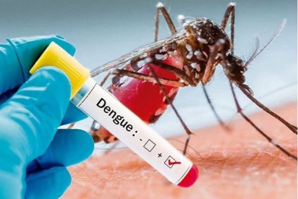 Dengue
