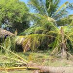 கடந்தான்