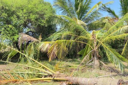 கடந்தான்