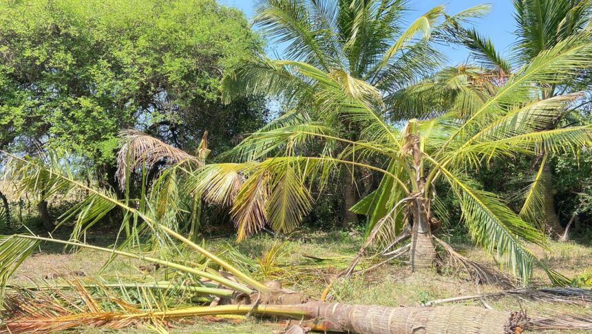 கடந்தான்