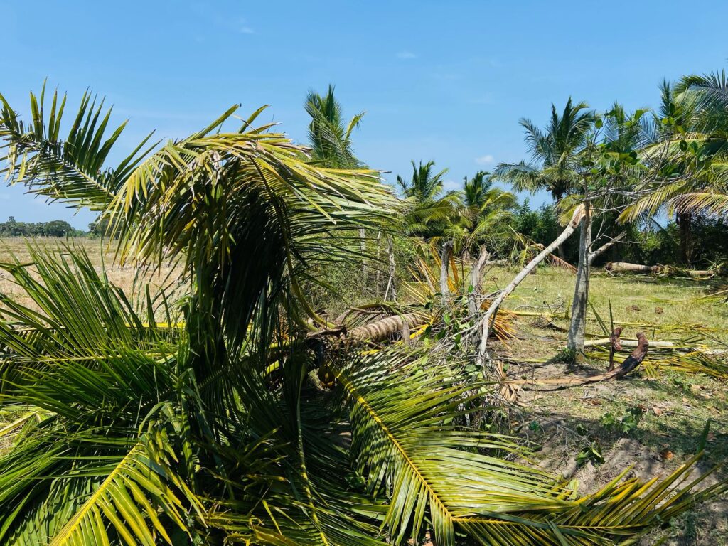 WhatsApp Image 2025 05 11 at 13.21.22 1