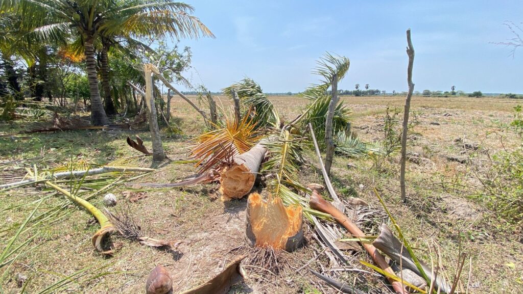 WhatsApp Image 2025 05 11 at 13.21.22