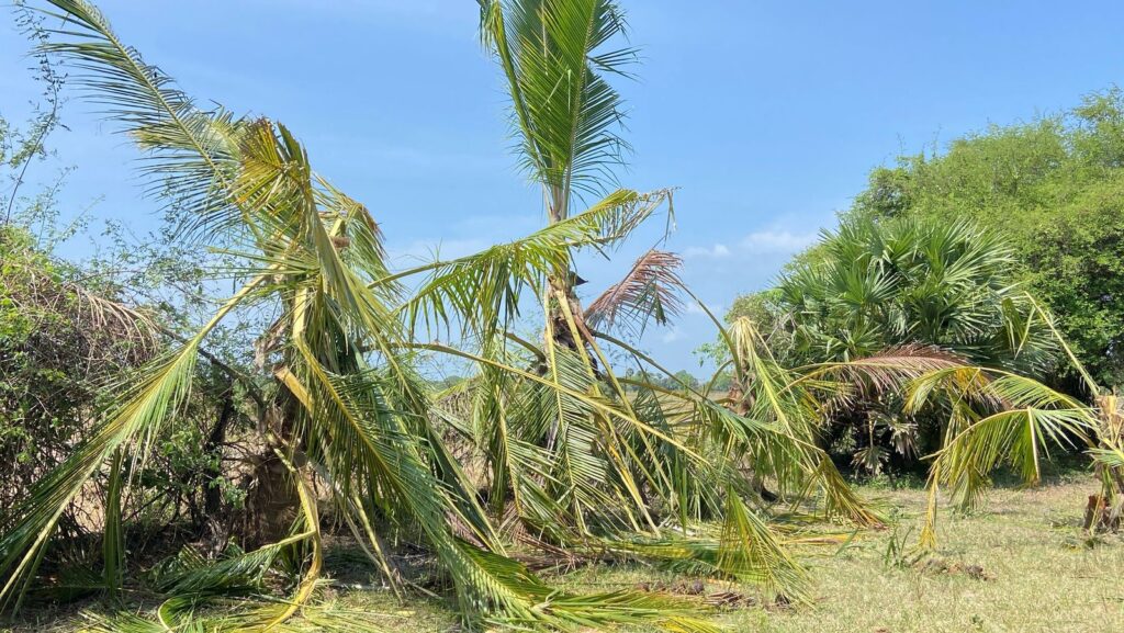 WhatsApp Image 2025 05 11 at 13.21.22 2