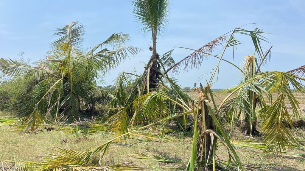 WhatsApp Image 2025 05 11 at 13.21.24