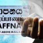 விபரீத முடிவு