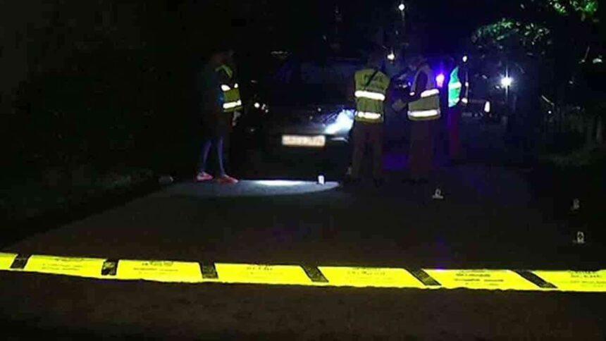 துப்பாக்கி சூடு