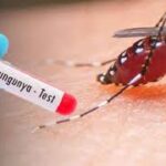 சிக்குன்குனியா