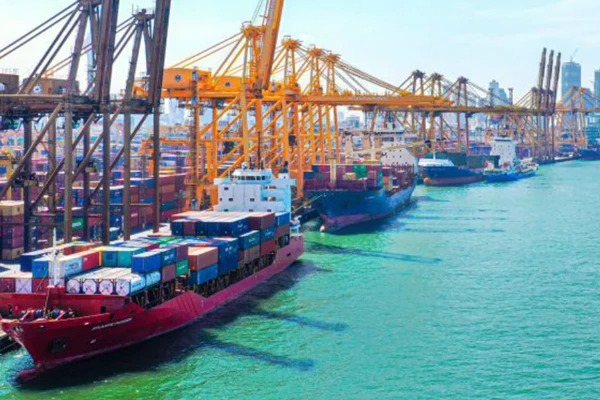 சர்ச்சைக்குரிய கொள்கலன்கள் தொடர்பில் சட்ட நடவடிக்கை - தயாசிறி உறுதி