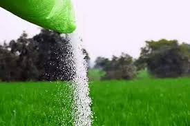 WhatsApp Image 2025 05 27 at 14.02.58 509f9b6b