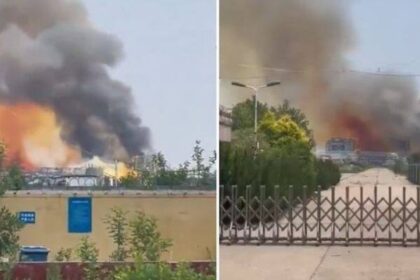 WhatsApp Image 2025 05 28 at 09.09.50 f34d54ef