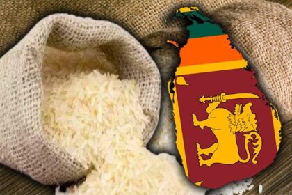 WhatsApp Image 2025 05 28 at 10.02.56 5713d4cf