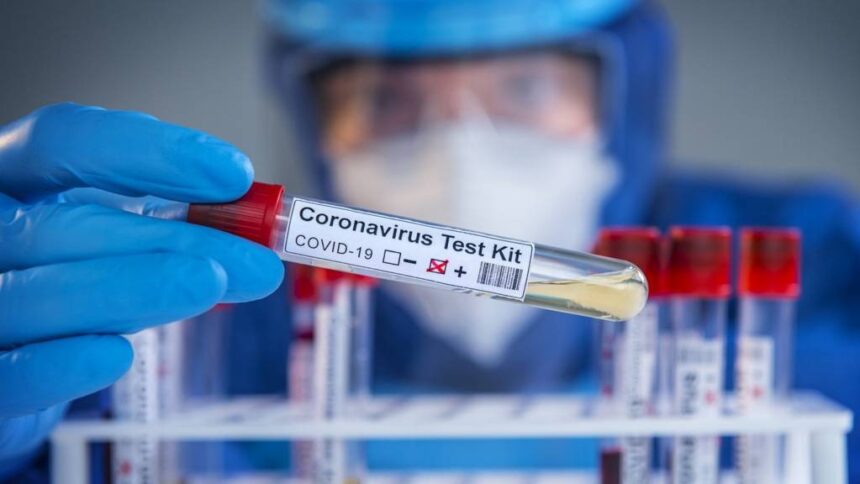 WhatsApp Image 2025 05 29 at 09.44.37 fe5505b4