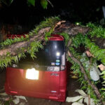 WhatsApp Image 2025 05 30 at 10.57.20 d585724e