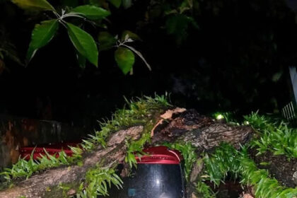 WhatsApp Image 2025 05 30 at 10.57.20 d585724e