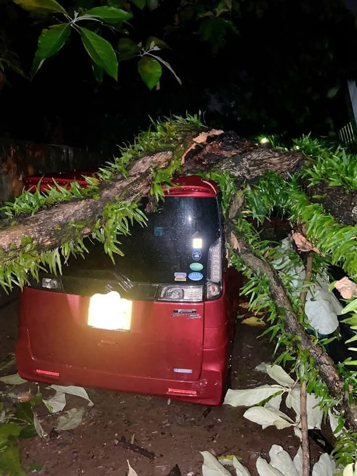 WhatsApp Image 2025 05 30 at 10.57.20 d585724e