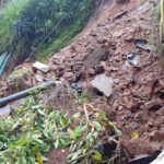 WhatsApp Image 2025 05 30 at 14.07.37 ef7d1f12