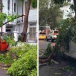 WhatsApp Image 2025 05 31 at 12.05.03 683e24ee