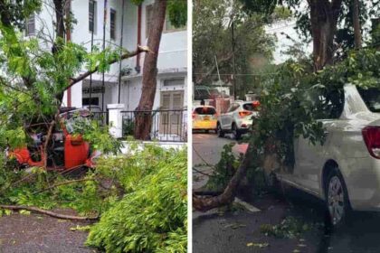 WhatsApp Image 2025 05 31 at 12.05.03 683e24ee