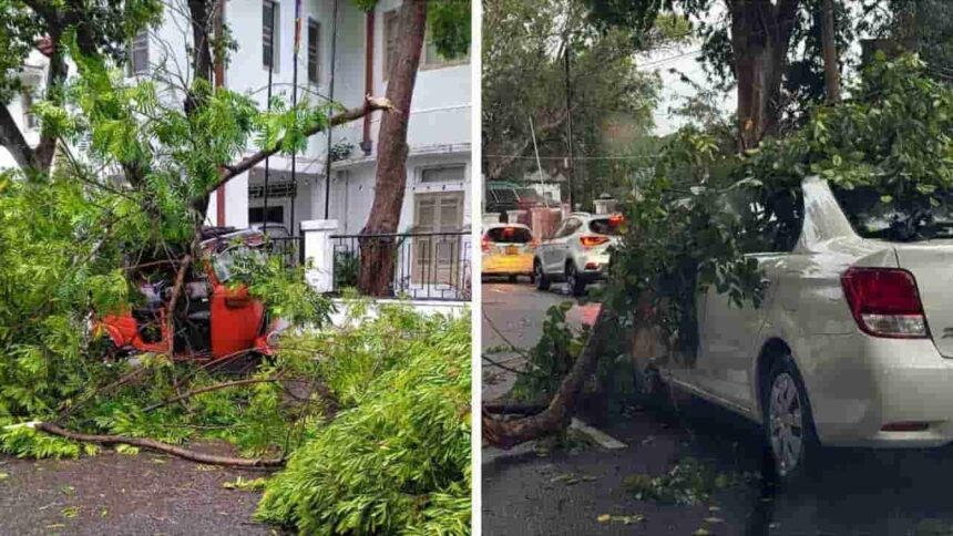 WhatsApp Image 2025 05 31 at 12.05.03 683e24ee