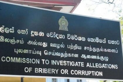 WhatsApp Image 2025 05 31 at 12.44.52 215228a6