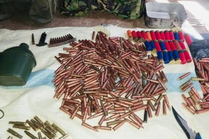 Ammunition Seizure
