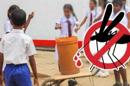 சிக்குன்குன்யா