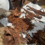 வவுனியா