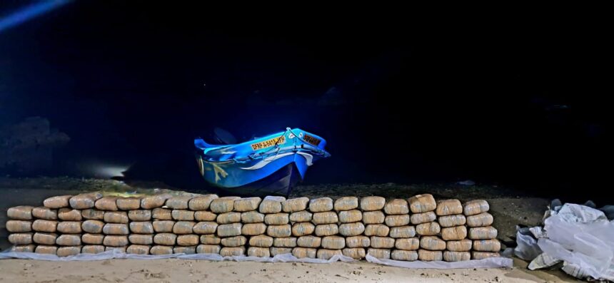 யாழில், 220 கிலோகிராம் கஞ்சா மீட்பு 1 220 kilograms of cannabis