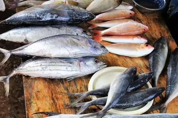 இலங்கையில் மீன்களின் விலை திடீர் அதிகரிப்பு 1 FishPrice Hike